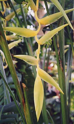 >�w���R�j�A