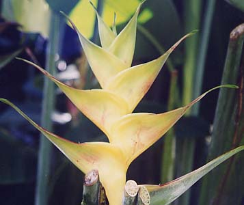 >�w���R�j�A