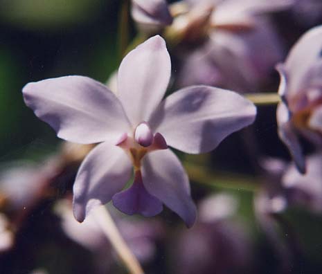 �R�E�g�E�V����