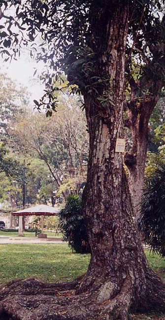 �e���n�{�N