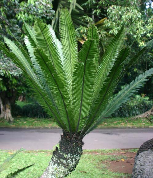 �T���S�\�e�c��