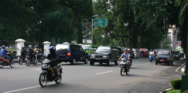 �{�S�[���{�a�����H���