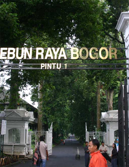 �{�S�[���A�����̐��ʓ����P