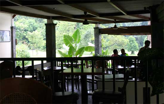 ���X�g�����{�^�j�J��