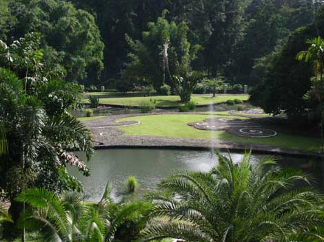 �A�����̒r���i