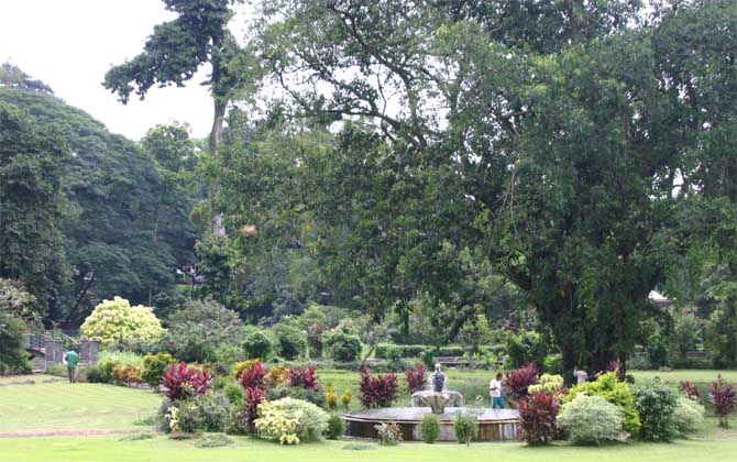 �A�������뉀