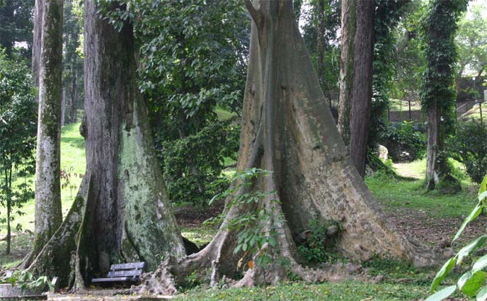 �����̃x���`