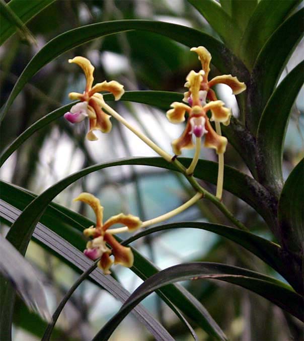 �q���E��������