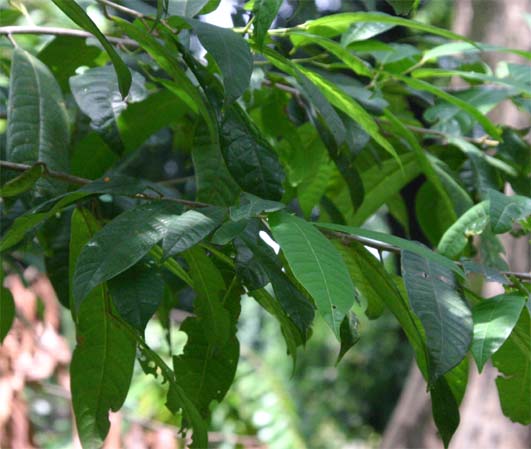 �����T���p��