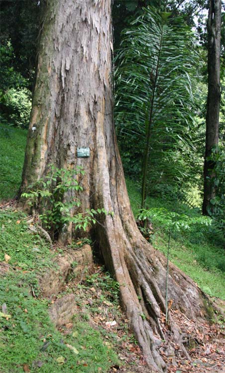 �����E�m�E�W��