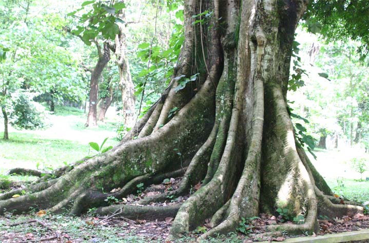 �I�I�o�s���|����