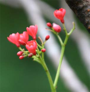 �i�����E�U�N��