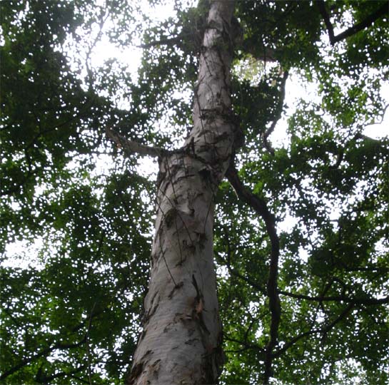 �|�v���K��