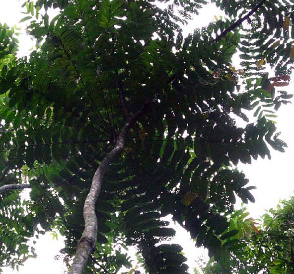 �n�����n���̊��Ǝ���