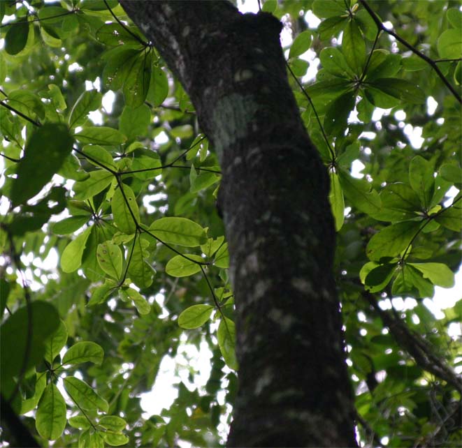 �~���o����