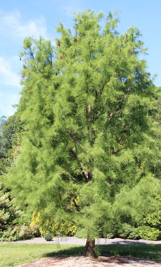 �V�_�����N�E�V���E