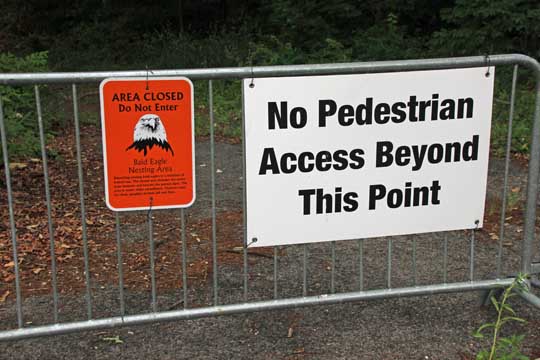 �����h�ی��