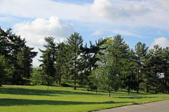 ���؉��k�����t��