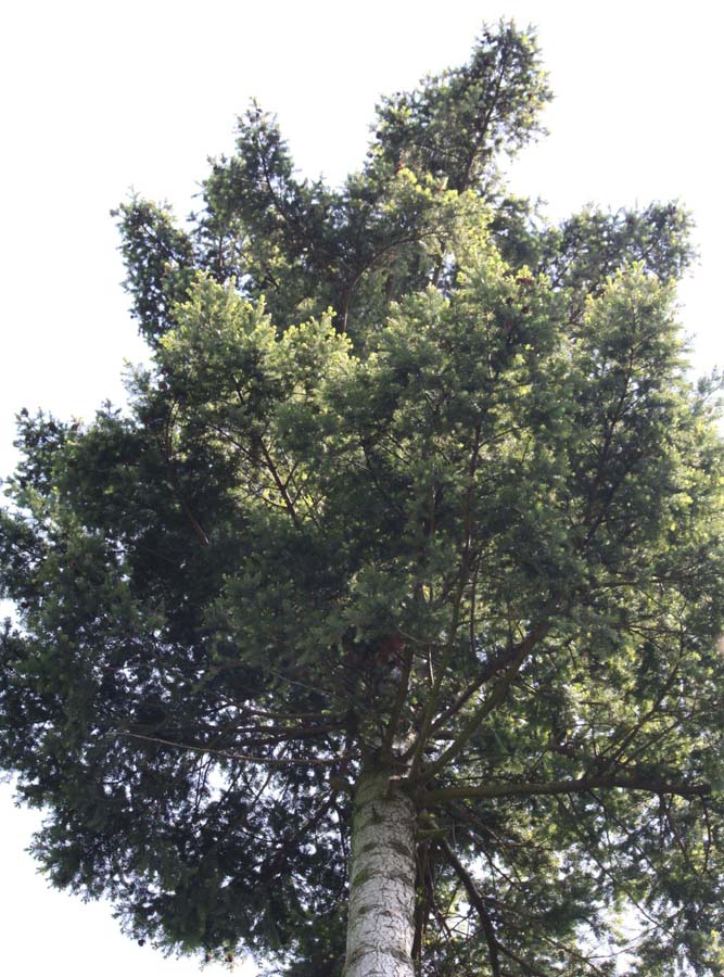 �A�����J�g�K�T����