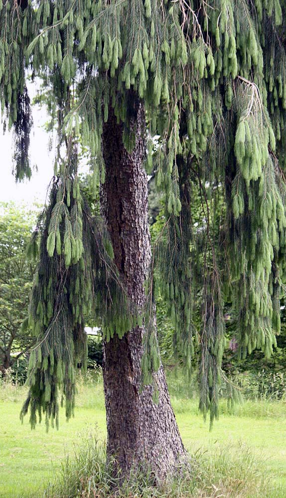 �q�}�����g�E�q