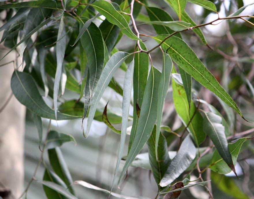 ���������[�J��