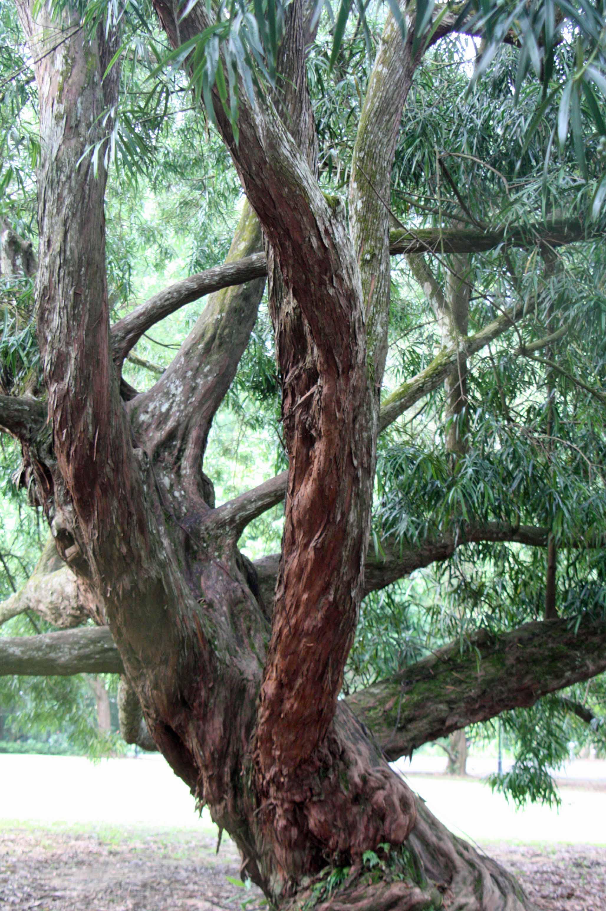 �q�}�����}�L