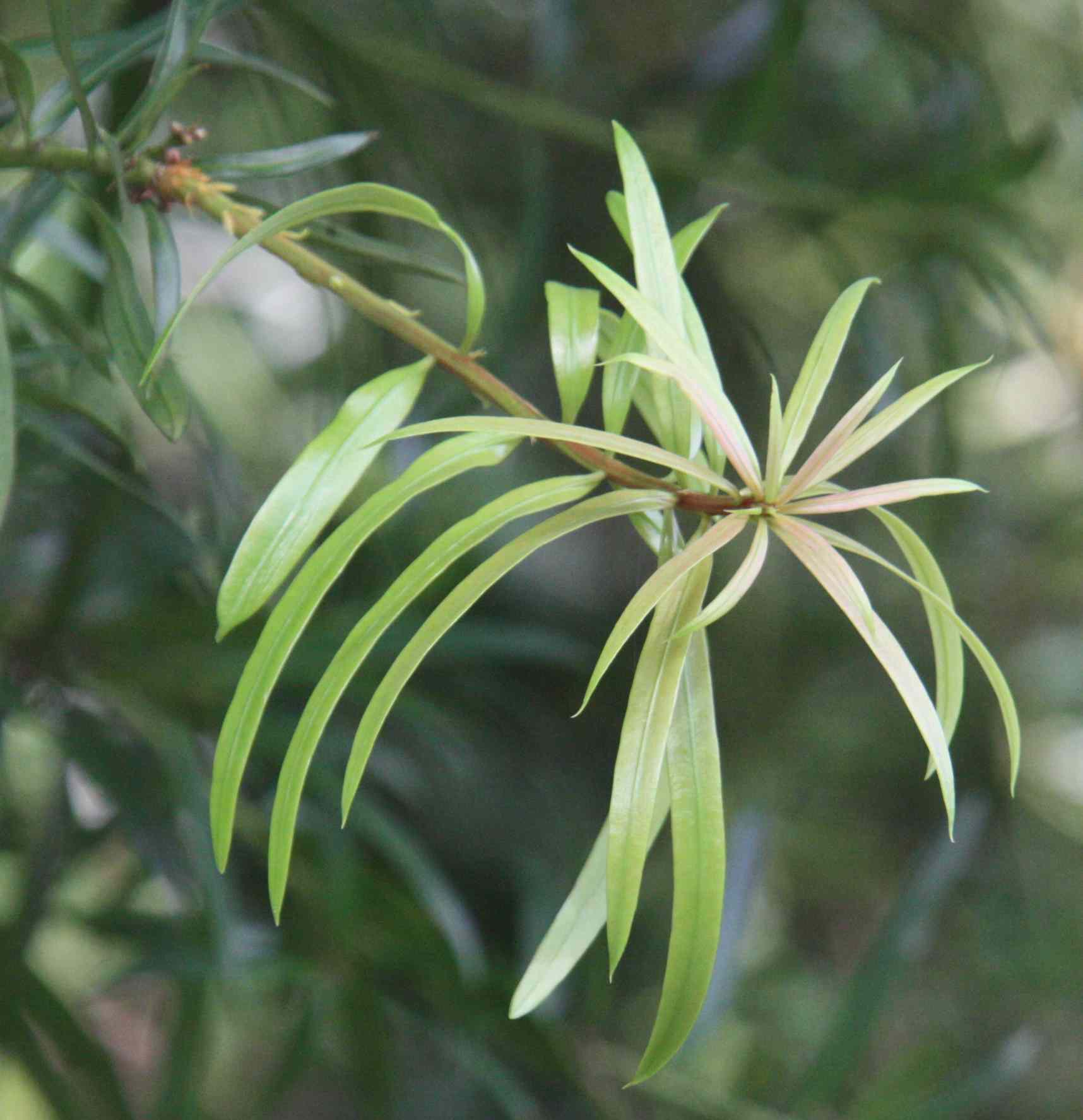 �E�~�x�}�L