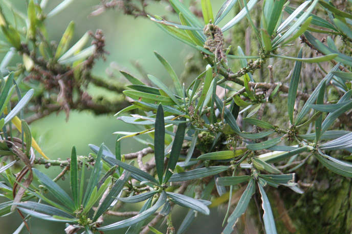 ���J���}�L