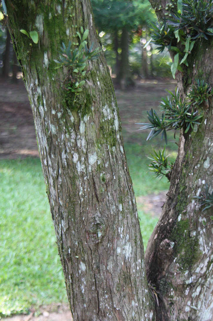 ���J���}�L