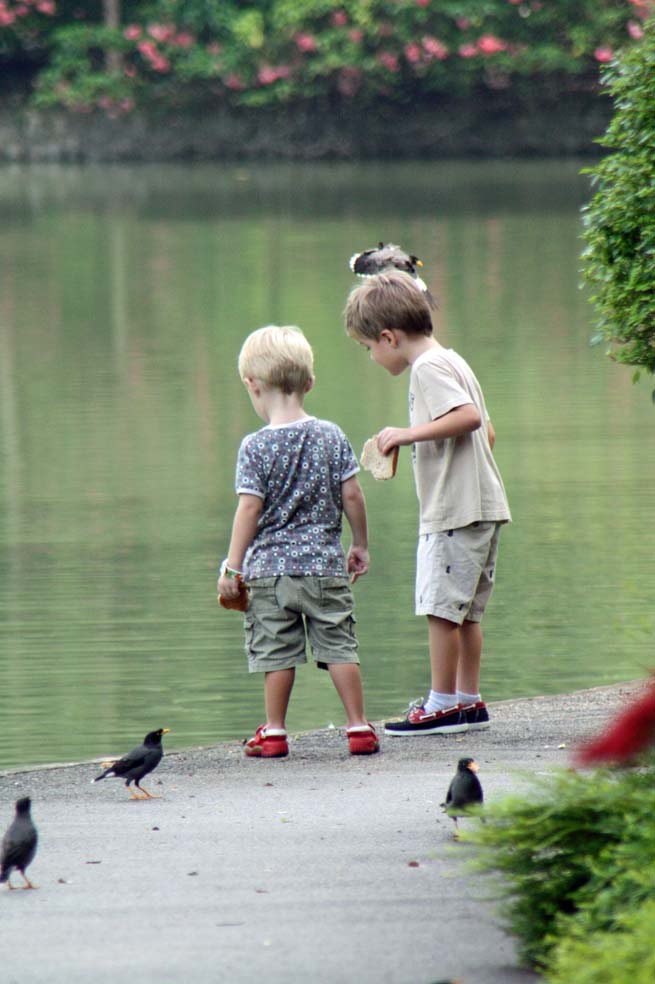 �V���K�|�[���A�����̎q������