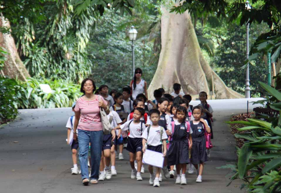 �V���K�|�[���A�����̎q������