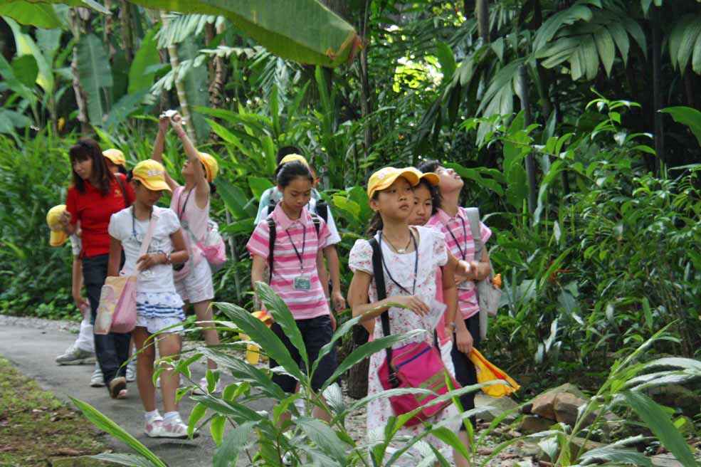 �V���K�|�[���A�����̎q������