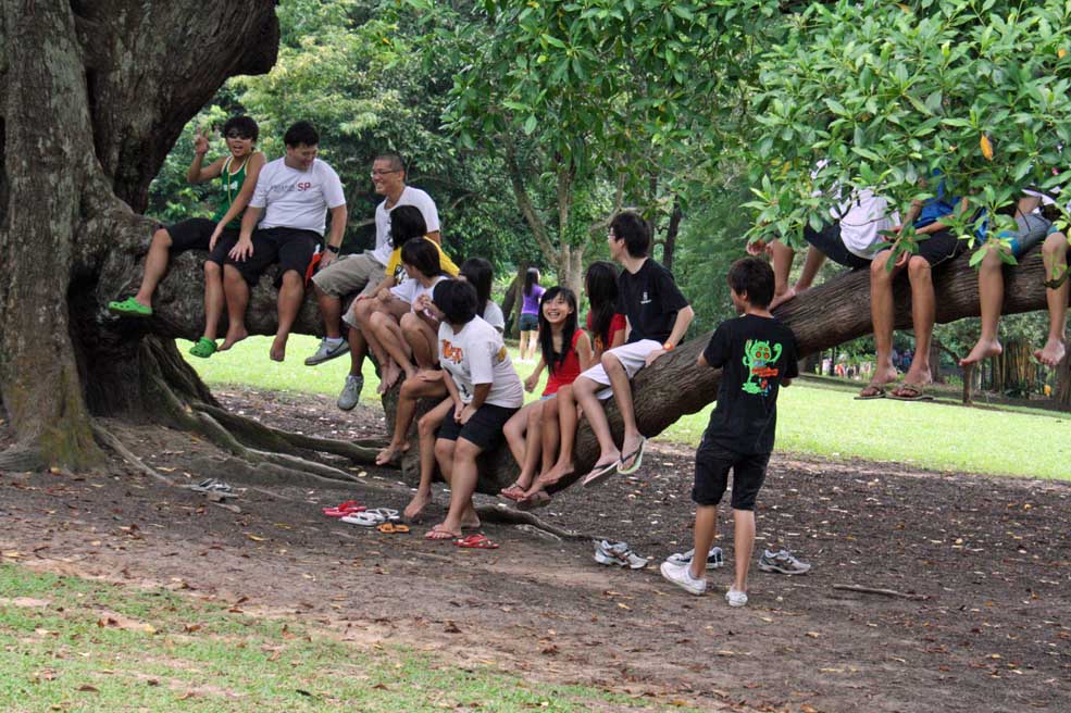 �V���K�|�[���A�����̎q������