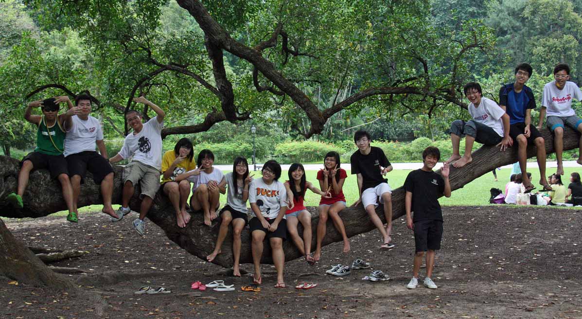 �V���K�|�[���A�����̎q������