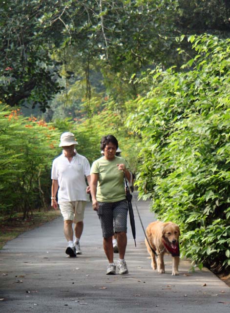 �V���K�|�[���A�����̐l�X