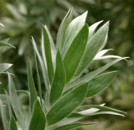 �M�����E�W��