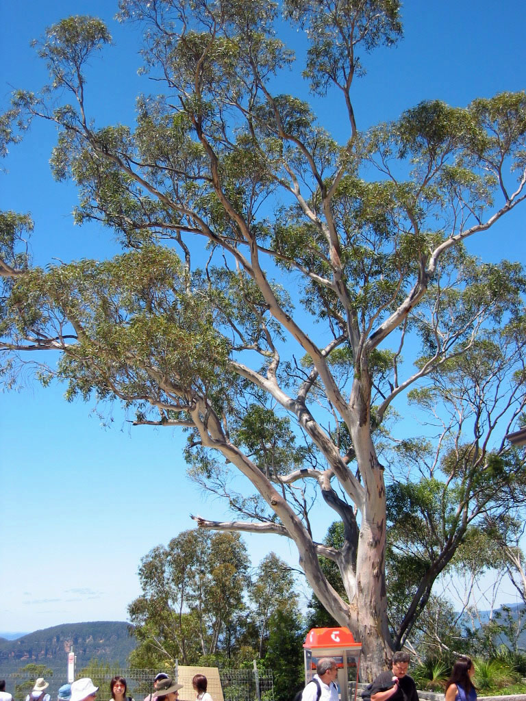 ���[�J����