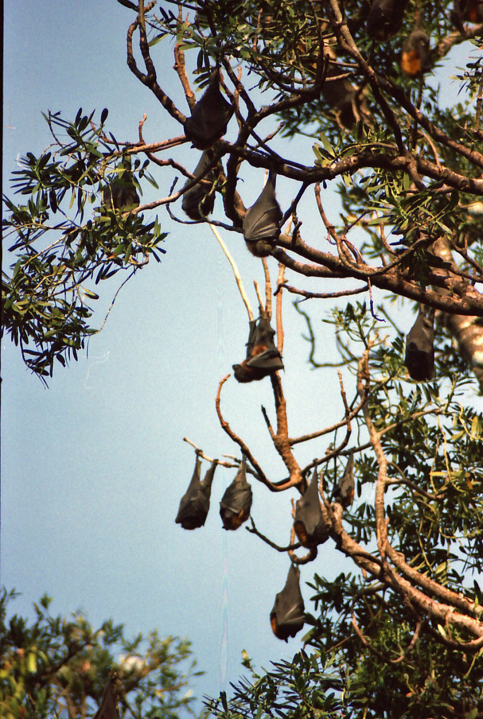 �R�E����