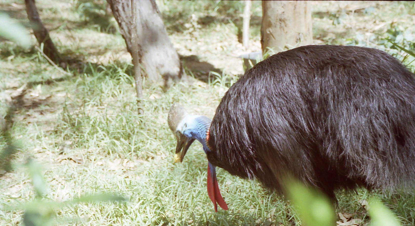 �q�N�C�h��