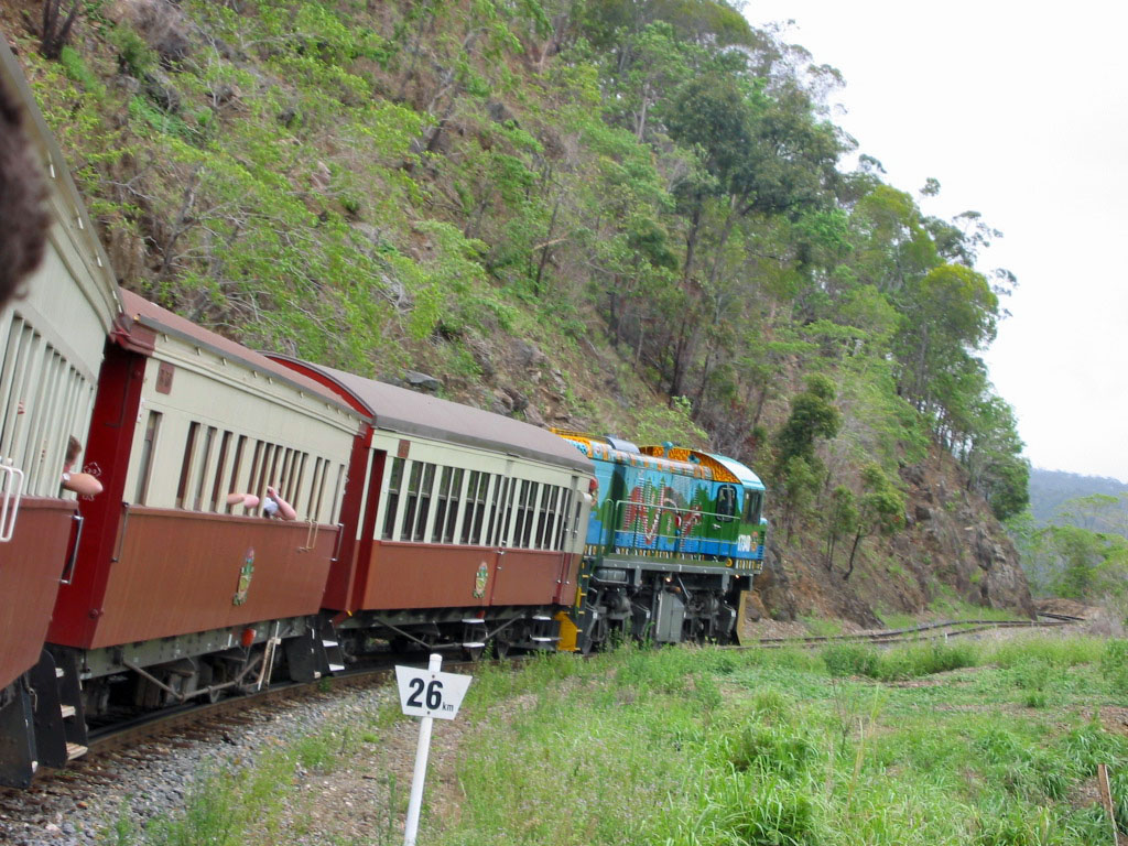 �L�������_�������