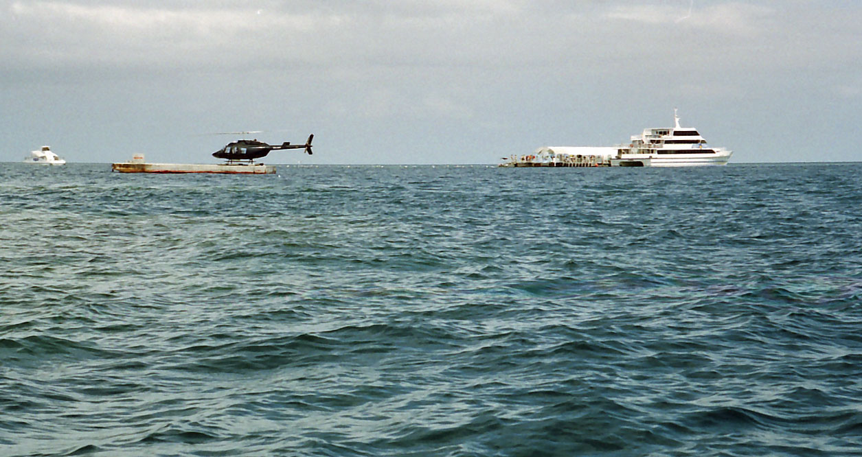 �|���c�[���ƃw��������