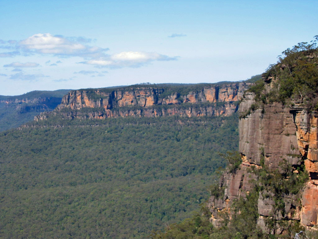 �u���[�E�}�E���e���Y��������