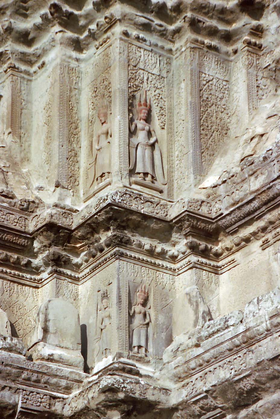 �f�o�^�[��