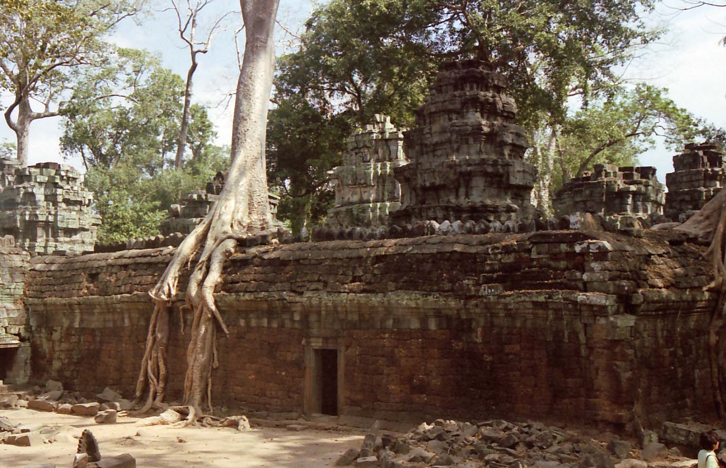 ���ߎE���C�`�W�N�@�X�|�A��