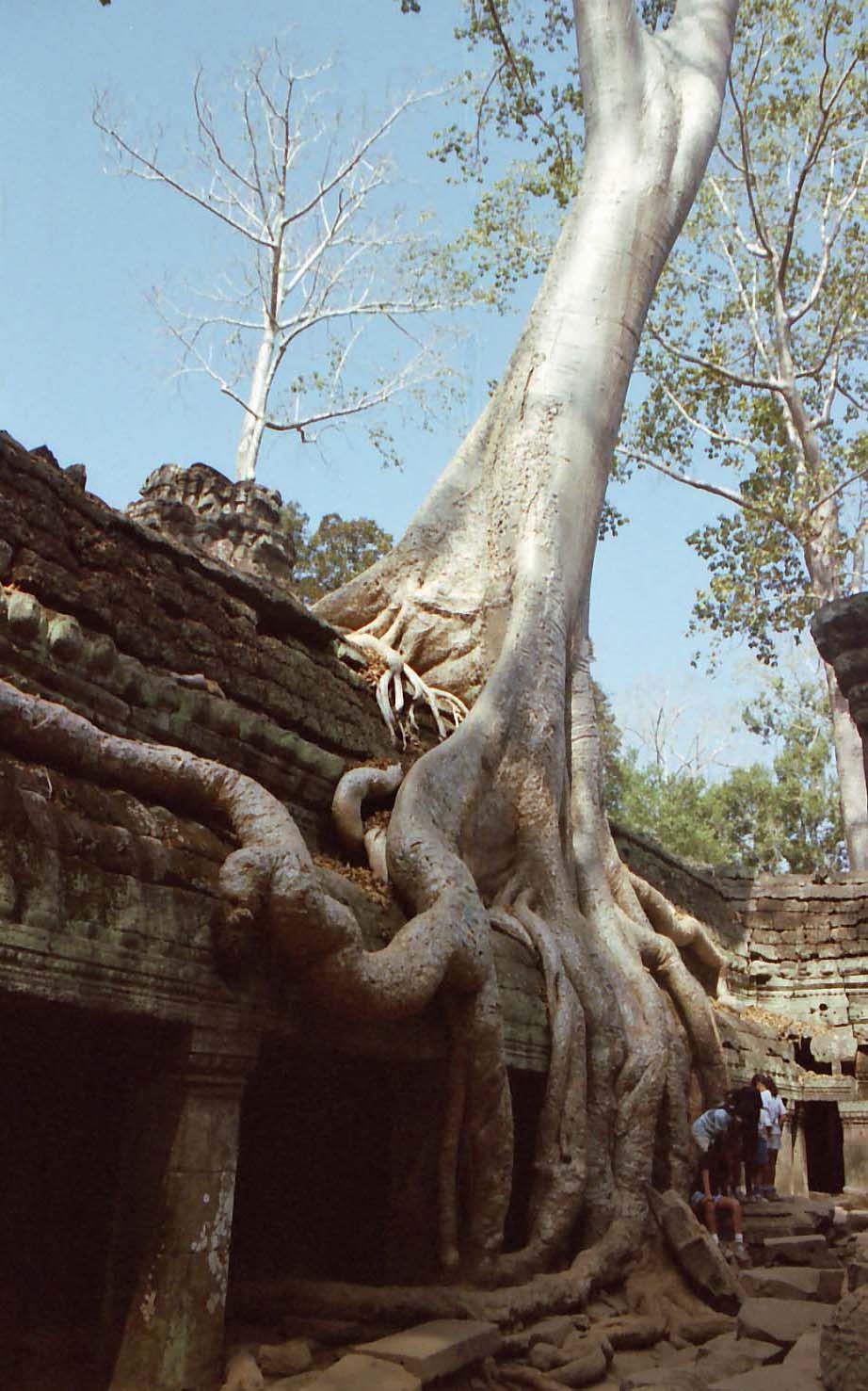 ���ߎE���C�`�W�N