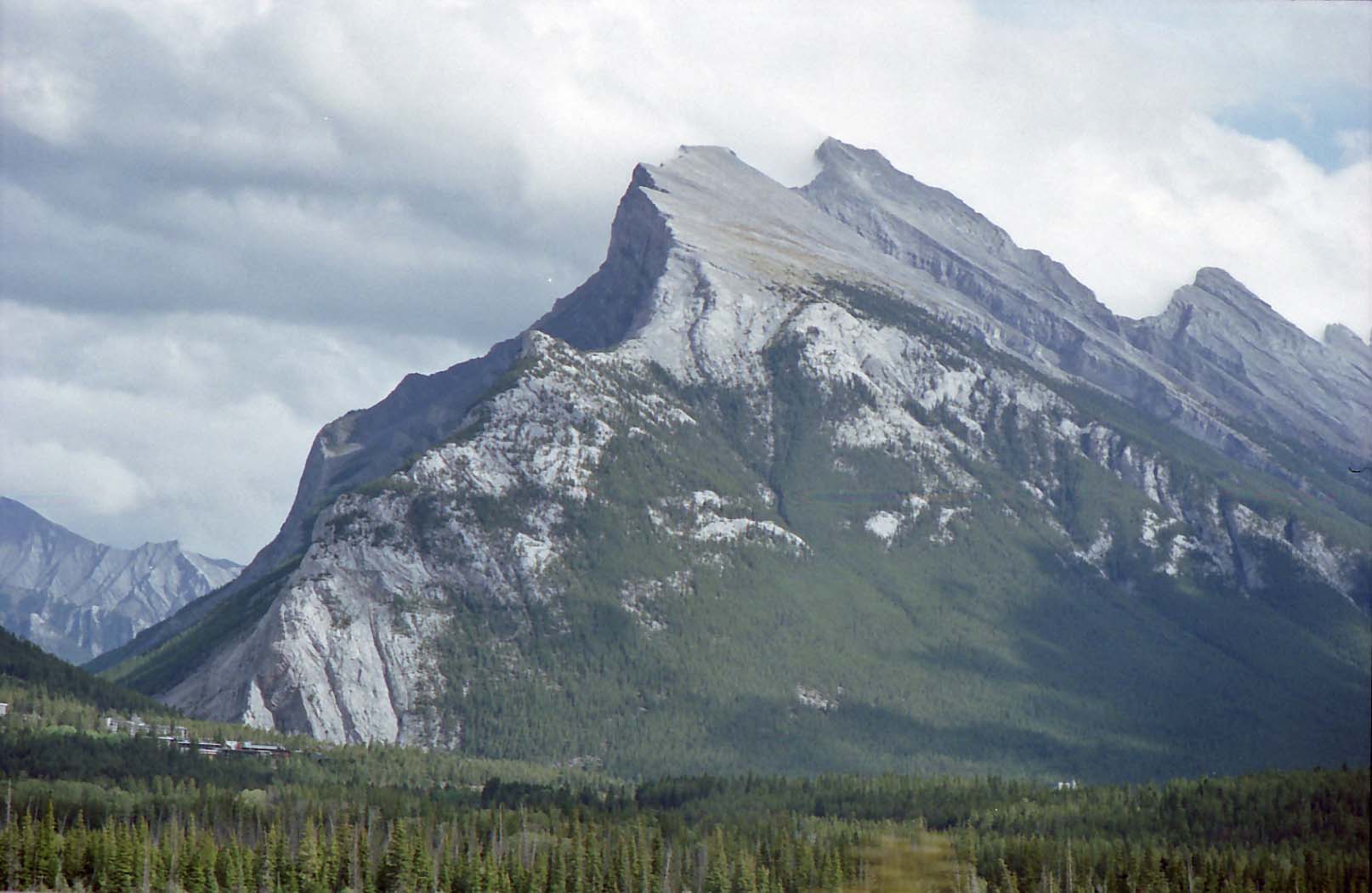 �����h���R