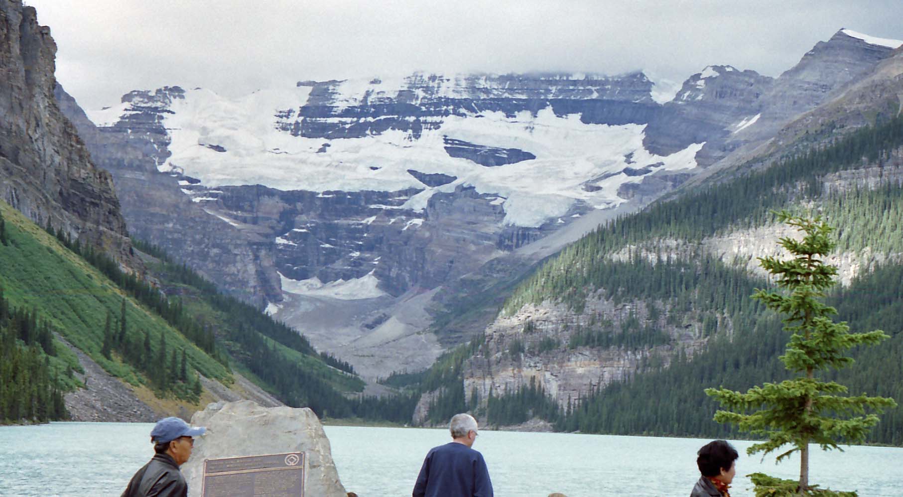 ���C�[�Y��