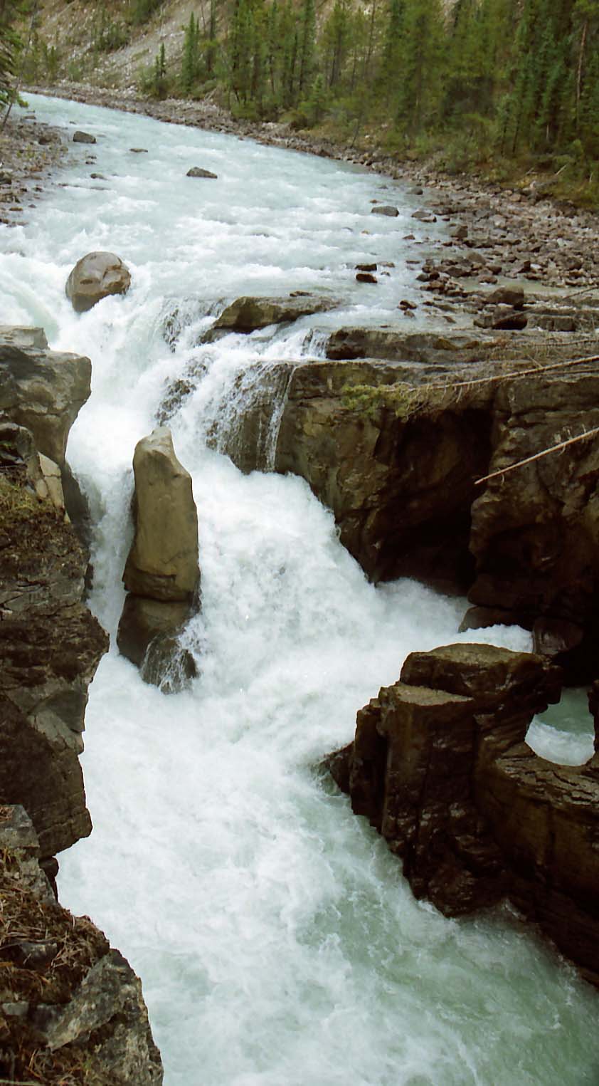 �T�����v�^��