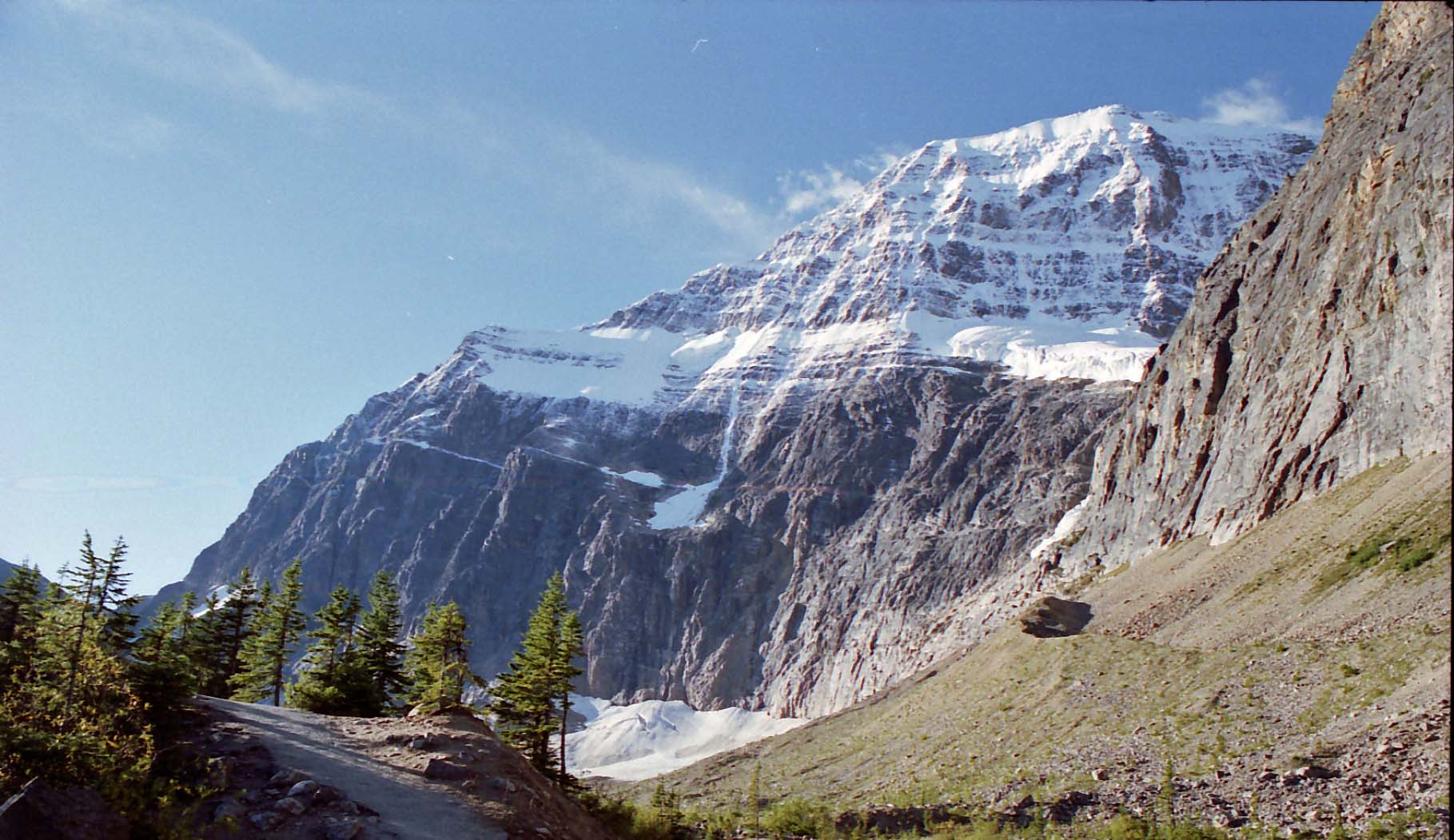 �G�f�B�X�L���x���R