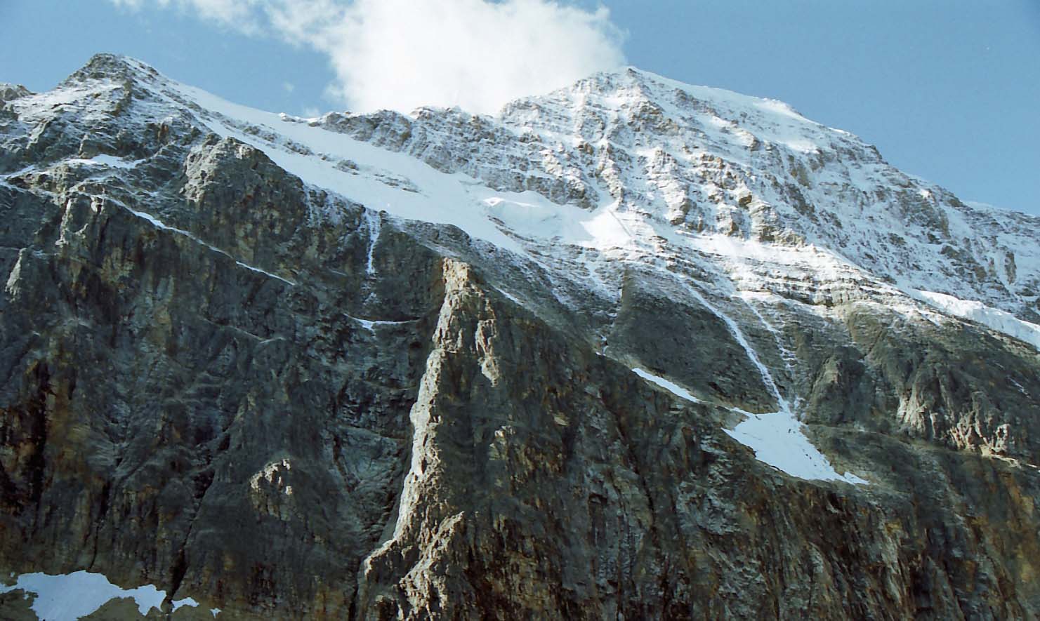 �G�f�B�X�L���x���R